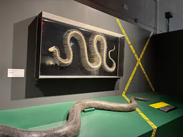 特別展「超危険生物展　科学で挑む生き物の本気」に投稿された画像（2026/5/3）