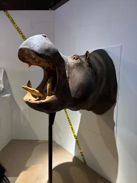 特別展「超危険生物展　科学で挑む生き物の本気」に投稿された画像（2026/5/3）