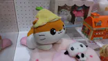 サンリオ展 FINAL ver. ニッポンのカワイイ文化60年史に投稿された画像（2026/5/4）