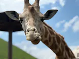 伊豆シャボテン動物公園に投稿された画像（2026/5/4）
