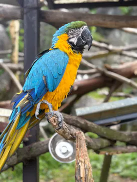 伊豆シャボテン動物公園に投稿された画像（2026/5/3）