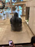 名古屋市東山動植物園に投稿された画像（2026/5/4）