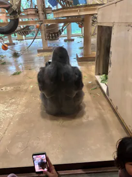 名古屋市東山動植物園に投稿された画像（2026/5/4）
