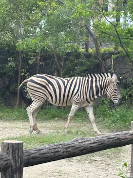 名古屋市東山動植物園に投稿された画像（2026/5/4）