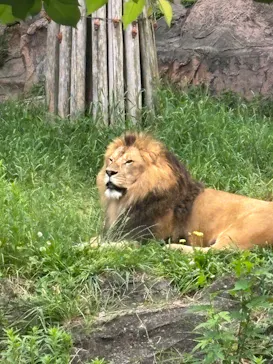 名古屋市東山動植物園に投稿された画像（2026/5/4）