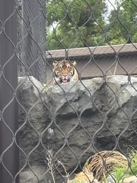 名古屋市東山動植物園に投稿された画像（2026/5/4）