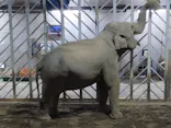 多摩動物公園に投稿された画像（2026/5/4）