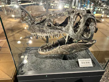 福井県立恐竜博物館に投稿された画像（2026/5/4）