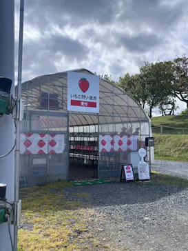 ICHIGOHOUSE.HITACHINAKAに投稿された画像（2026/5/4）