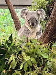 鹿児島市平川動物公園に投稿された画像（2026/5/4）