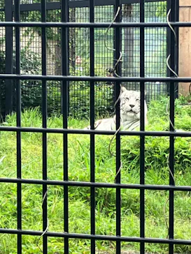 鹿児島市平川動物公園に投稿された画像（2026/5/4）