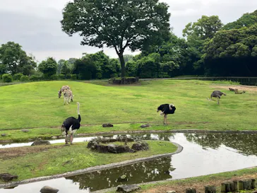 鹿児島市平川動物公園に投稿された画像（2026/5/4）