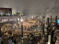 福井県立恐竜博物館に投稿された画像（2026/5/4）