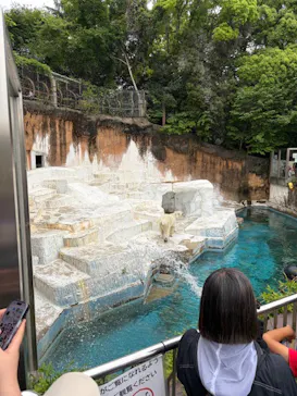 天王寺動物園に投稿された画像（2026/5/4）