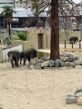 天王寺動物園に投稿された画像（2026/5/4）