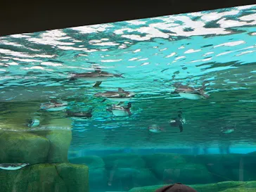 天王寺動物園に投稿された画像（2026/5/4）