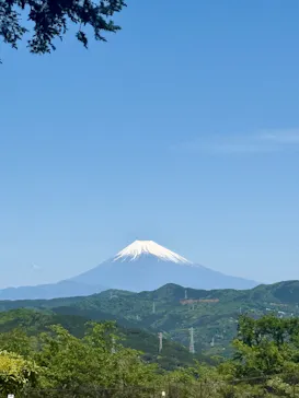 伊豆シャボテン動物公園に投稿された画像（2026/5/4）