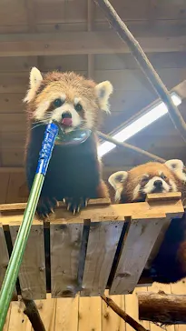伊豆シャボテン動物公園に投稿された画像（2026/5/4）