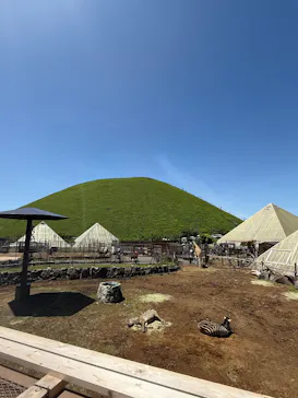 伊豆シャボテン動物公園に投稿された画像（2026/5/4）