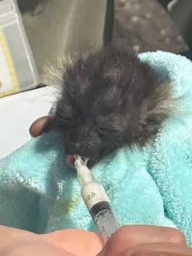 伊豆シャボテン動物公園に投稿された画像（2026/5/4）