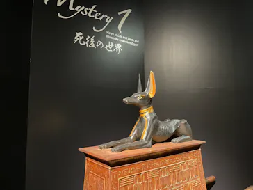 MYSTERY OF TUTANKHAMEN 体感型古代エジプト展に投稿された画像（2026/5/4）