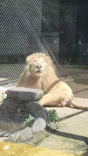 宇都宮動物園に投稿された画像（2026/5/4）