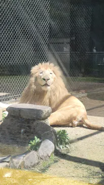 宇都宮動物園に投稿された画像（2026/5/4）