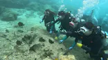 武藤潜水に投稿された画像（2026/5/4）