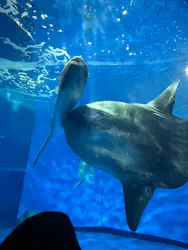 アクアワールド茨城県大洗水族館に投稿された画像（2026/5/4）