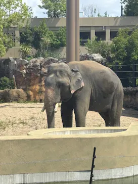 天王寺動物園に投稿された画像（2026/5/4）
