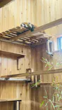 名古屋市東山動植物園に投稿された画像（2026/5/4）