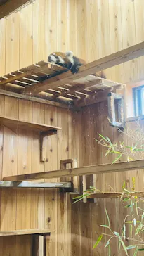 名古屋市東山動植物園に投稿された画像（2026/5/4）