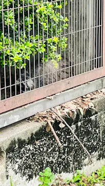 名古屋市東山動植物園に投稿された画像（2026/5/4）