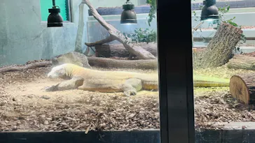 名古屋市東山動植物園に投稿された画像（2026/5/4）