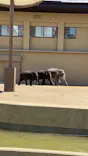 天王寺動物園に投稿された画像（2026/5/4）
