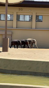 天王寺動物園に投稿された画像（2026/5/4）