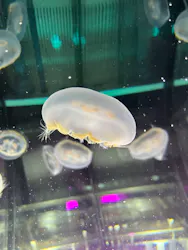 名古屋港水族館に投稿された画像（2026/5/4）