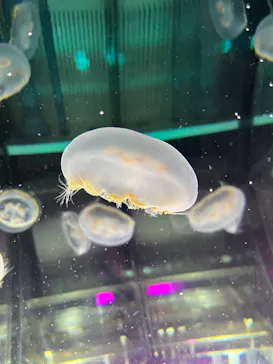 名古屋港水族館に投稿された画像（2026/5/4）