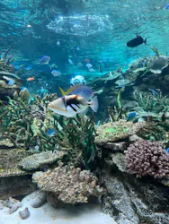 名古屋港水族館に投稿された画像（2026/5/4）