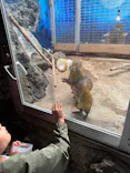 伊豆シャボテン動物公園に投稿された画像（2026/5/4）