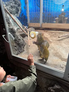 伊豆シャボテン動物公園に投稿された画像（2026/5/4）