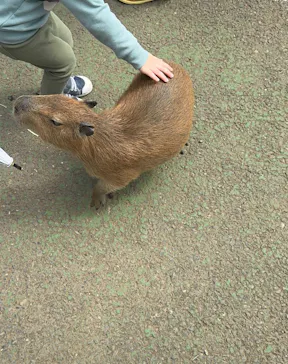 伊豆シャボテン動物公園に投稿された画像（2026/5/4）