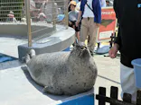 南知多ビーチランド＆南知多おもちゃ王国に投稿された画像（2026/5/4）