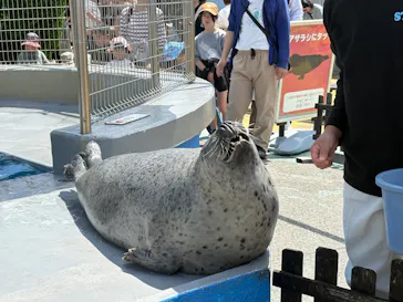 南知多ビーチランド＆南知多おもちゃ王国に投稿された画像（2026/5/4）