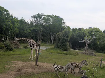 天王寺動物園に投稿された画像（2026/5/4）