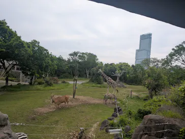 天王寺動物園に投稿された画像（2026/5/4）