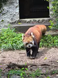九十九島動植物園森きららに投稿された画像（2026/5/4）