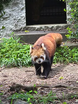 九十九島動植物園森きららに投稿された画像（2026/5/4）