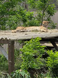九十九島動植物園森きららに投稿された画像（2026/5/4）