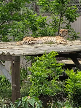 九十九島動植物園森きららに投稿された画像（2026/5/4）